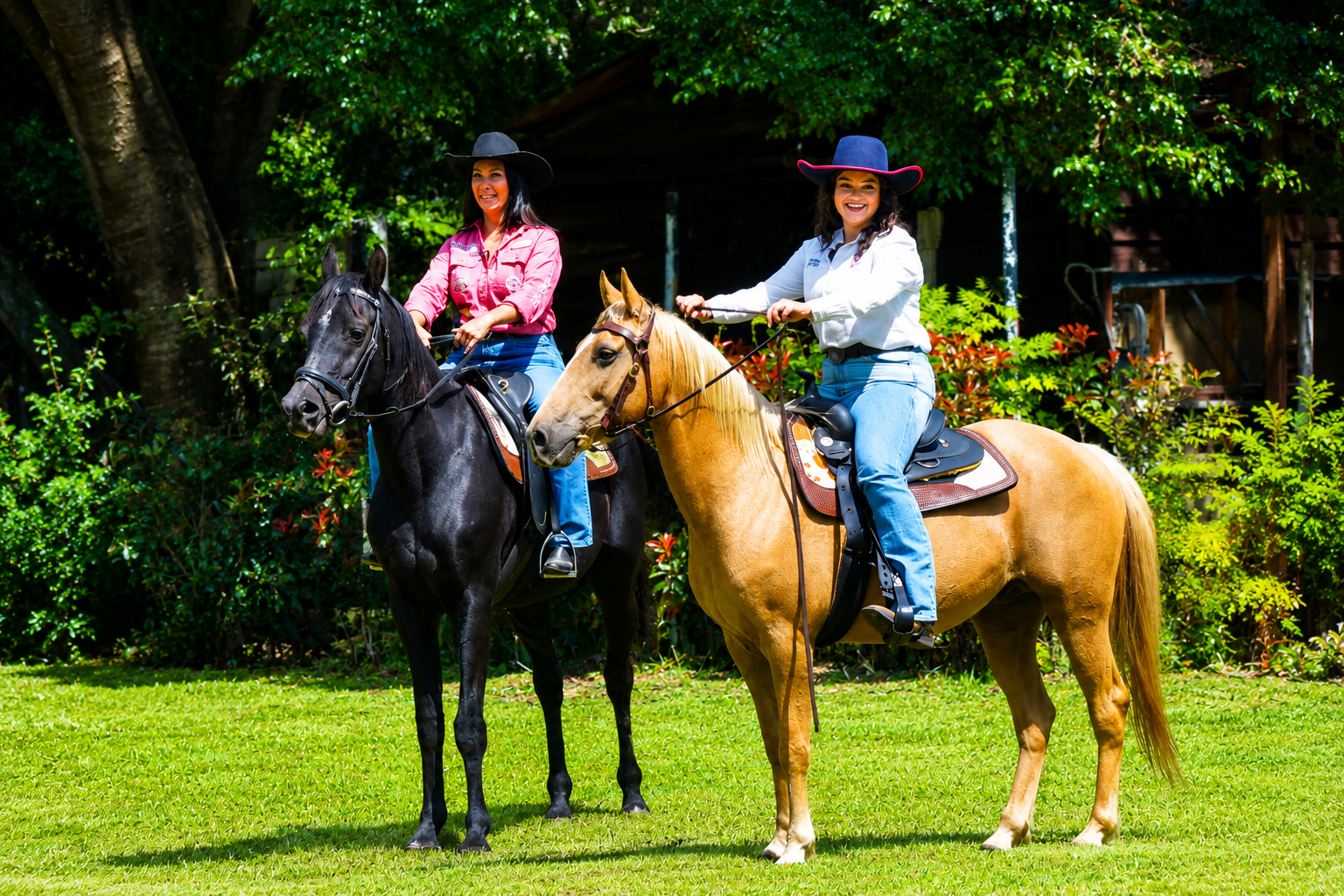 Cowboys & Country