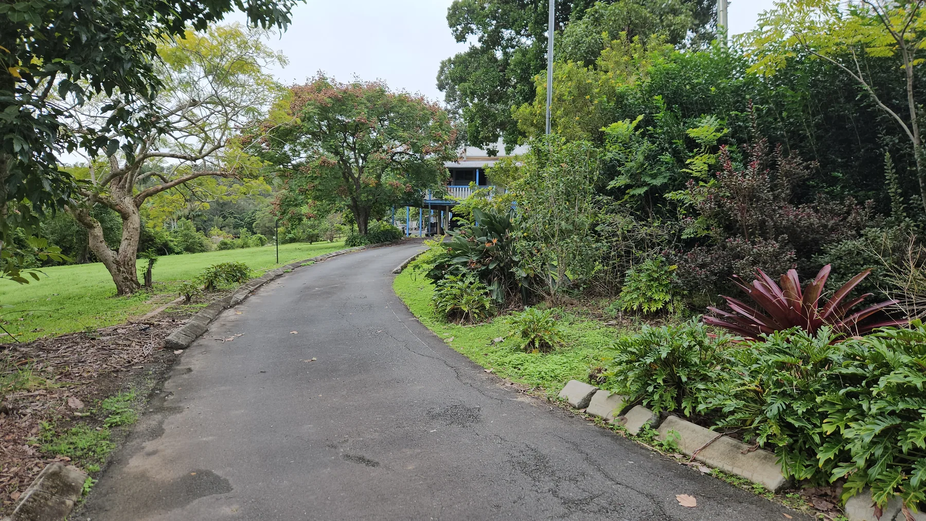 The driveway winding through the gardens up to the house