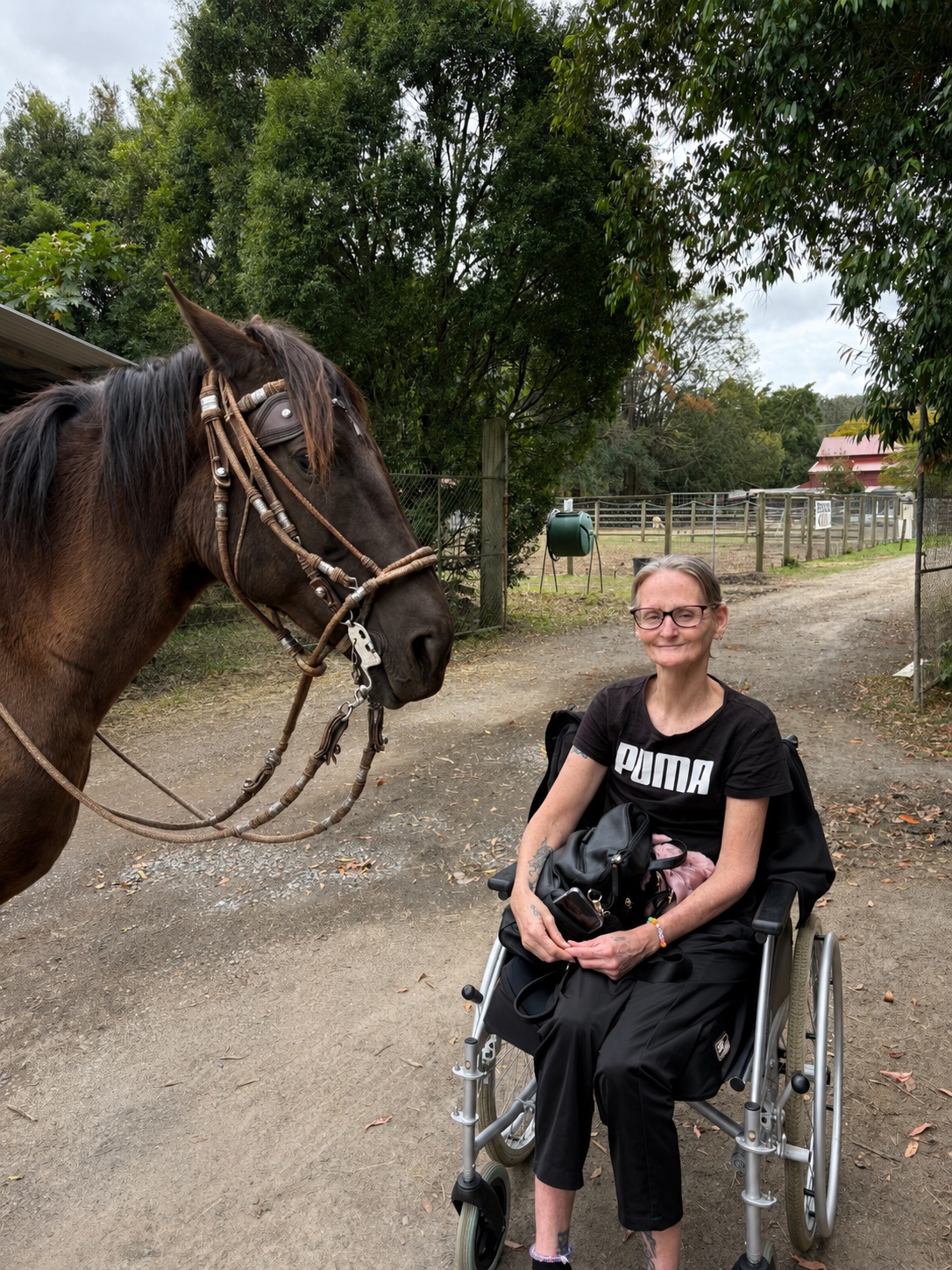 A smiling visitor in a wheelchair meeting one of the horses on the farm path at Historic Rivermill