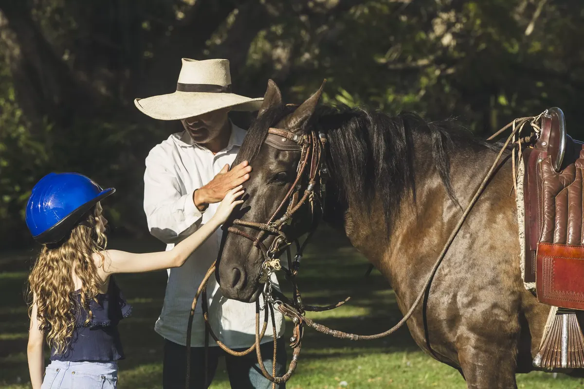 Guided encounters with the gentle Peruvian Paso horses