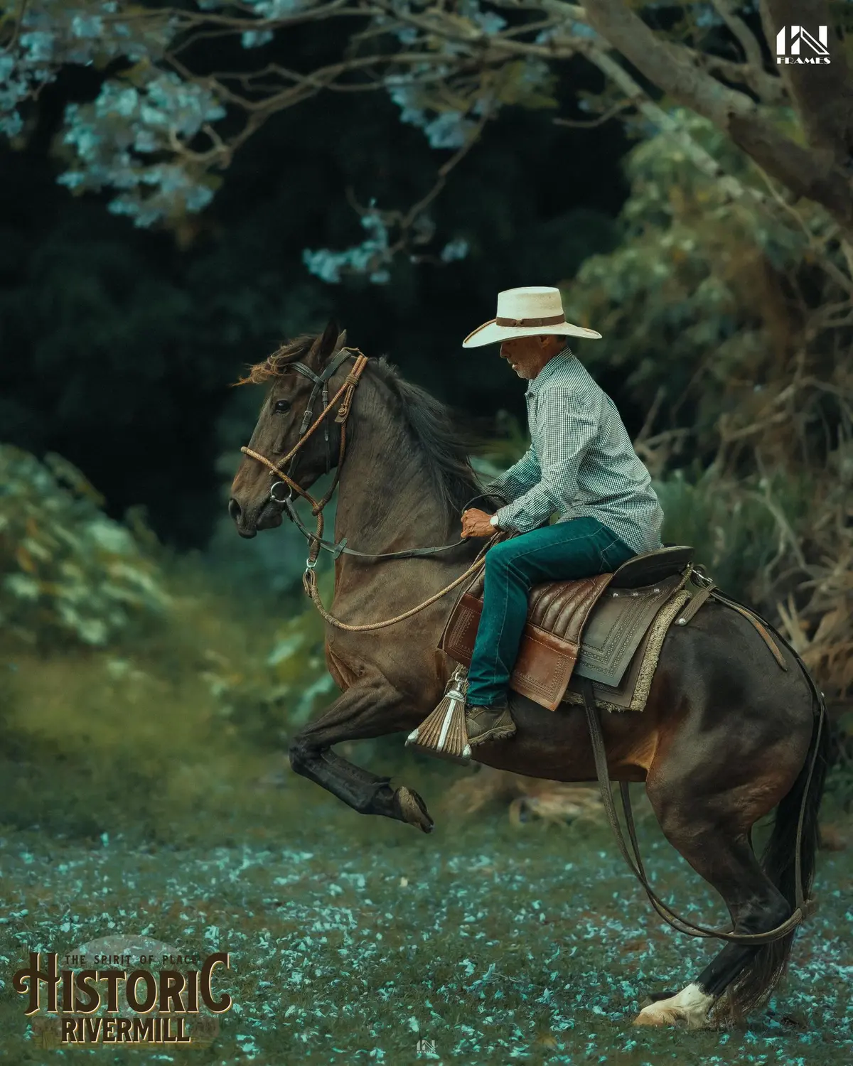 Rodrigo Peschiera riding a Peruvian Paso horse in Peruvian tack under the jacarandas at Historic Rivermill
