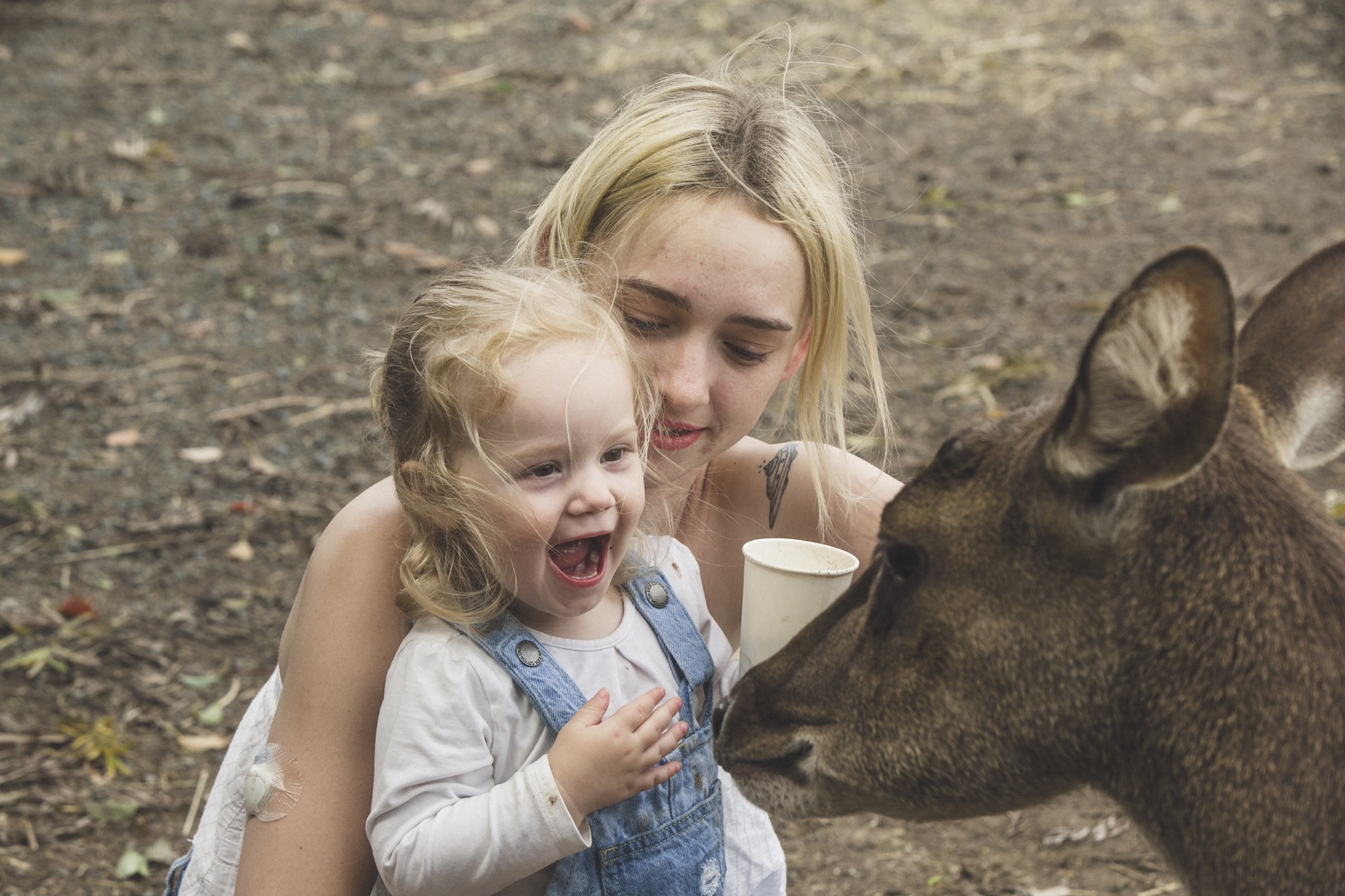 A delighted toddler and her mother hand-feeding a deer from a cup at Historic Rivermill