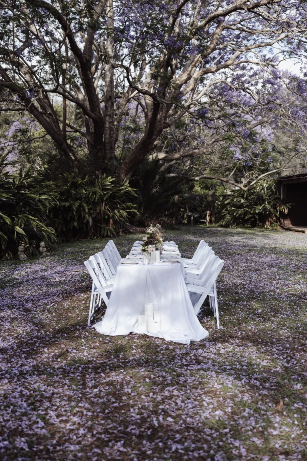 A long reception table scattered with jacaranda petals under the blooming tree